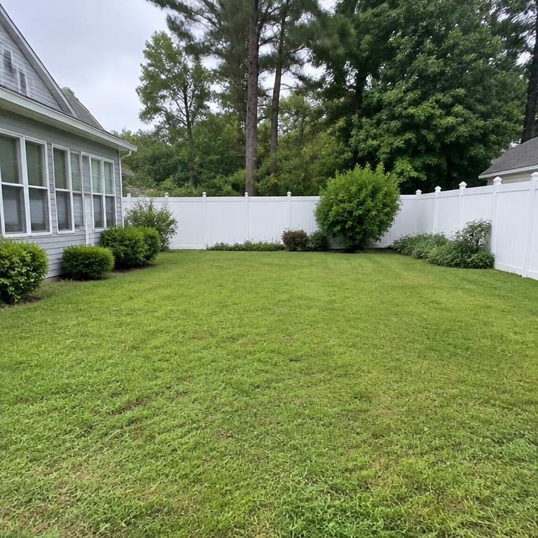 Representative view of the same Virginia Beach backyard after debris removal